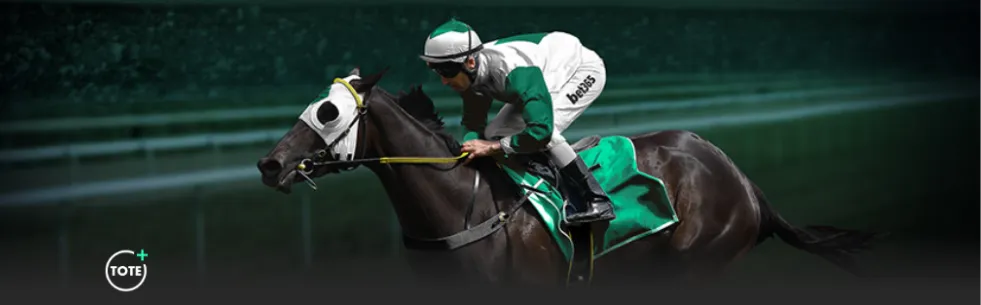 国少教头上,村健一,三度十字韧,开云集团,企业品牌资讯,集团信息平台,企业新闻动态,品牌资讯