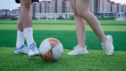 大乐透期号专家质合分析：前区十码精选胜率解析